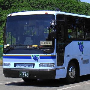 PRL en transporte de personas por carretera y primeros auxilios